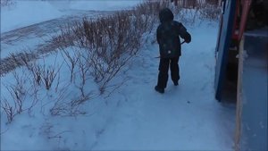 Трудовое воспитание дошкольников