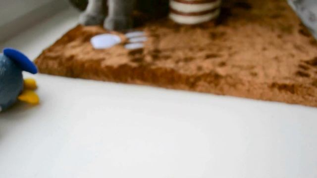 ❤️ДЕНЬ РОЖДЕНИЯ КОТА ПОРША❤️ПОДАРКИ❤️ смотреть онлайн