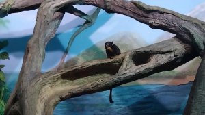 Воронежский океанариум? Сити-Парк "Град" 18.06.2023г.