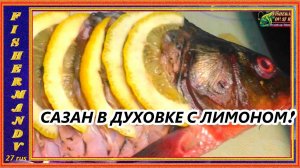 Сазан (карп) в духовке с лимоном. рецепт из рыбы  от FishermanDV27Rus,
