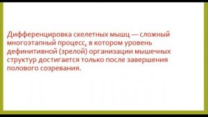 Строение мышечного волокна. Митохондрии, сателлитовые клетки. Лекция № 2. Тренеру и спортсмену.