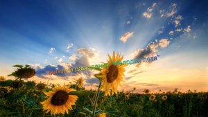 мелодия лета