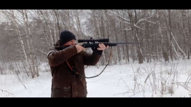 Тест магазина на 20 патрон 22 LR. смотреть онлайн