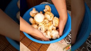 Шашлык из шампиньонов!