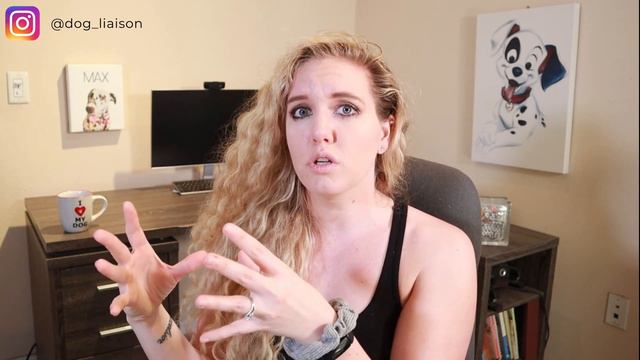 How to Use Your Dog’s Sense of Smell to Train an Anxious Dog (science explained) смотреть онлайн