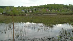 Ловля карася на червя весной