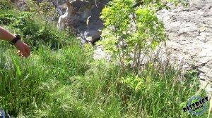 КРЫМ - СУДАК 2021. Пляж пансионата Сокол, Крымская весна. Водопад в Судаке. Интересные места Крыма