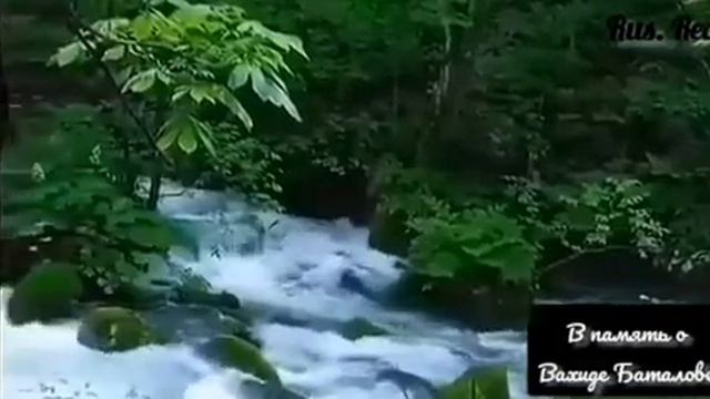 Руслан Тупиев . В память о Вахиде Баталове