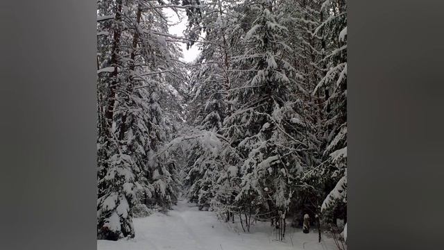 ВОЛШЕБНЫЙ СУМБУР.Стихи Юрия Матюшко.Музыка и исполнение Елены Мойсейчик. смотреть онлайн