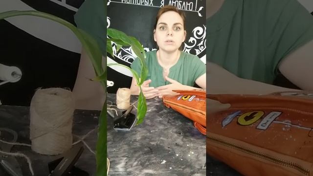 Видео-отзыв ученицы Анны Савиной смотреть онлайн