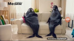 Мезим Форте Еду (2017)