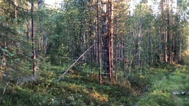 Мурманская область 2023. Часть 1 смотреть онлайн