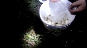 Рыбалка на толстолоба - Ловля на технопланктон - Ловля на макуху