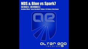 NDS & Blue ft Spark7 - Senses