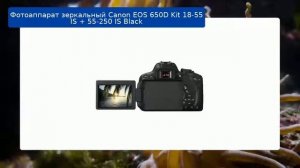 Фотоаппарат зеркальный Canon EOS 650D Kit 18-55 IS + 55-250 IS Black обзор и отзыв