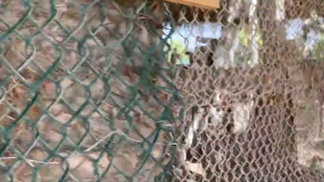 Fanar Hotel & Residences Salalah Beach Oman смотреть онлайн