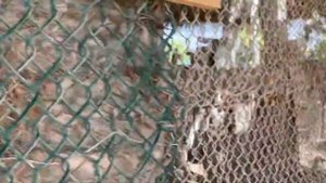 Fanar Hotel & Residences Salalah Beach Oman