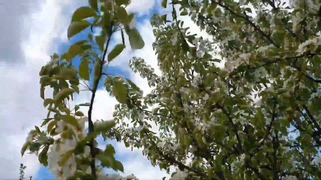 Вкусная курица в тандыре. смотреть онлайн