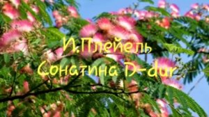 И.Плейель-Сонатина (исп.Кореневская Анастасия)