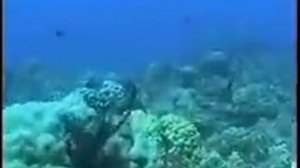 Вануату подводные