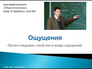 Ощущение (Психология ощущений - лекции профессора Щербатых