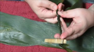 Making a TI leaf Lei for graduation  PART 1