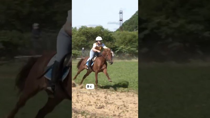 Соревнования по конному спорту "Золотая подкова Сахалина"  #сахалин #скачки #кони
