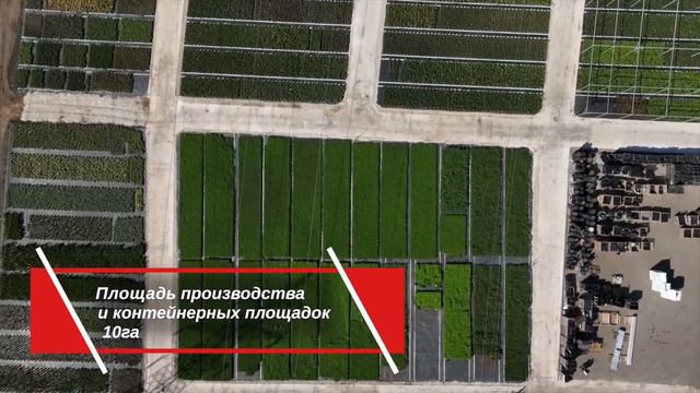 "О Садовом центре Веры Глуховой" 2024 год смотреть онлайн