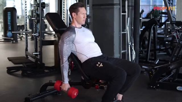 Сгибание рук с гентелями попеременно лежа на наклонной скамье смотреть онлайн