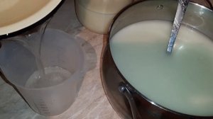 Твёрдый сыр гауда в домашних условиях.