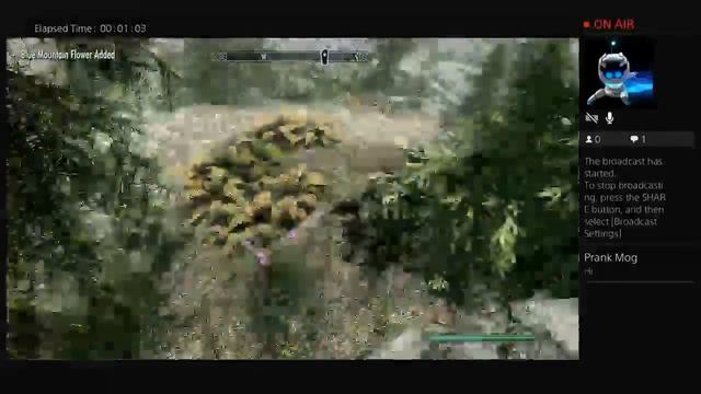 Skyrim live playthrough смотреть онлайн