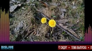 Почему женщины писают сидя? dislive