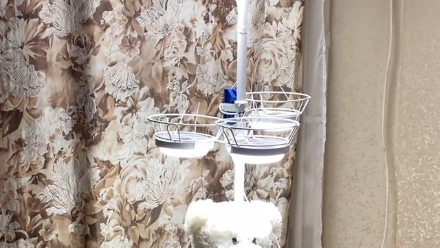 Орхидеи / Стойка для орхидей / Лайфхак для любителей красоты и удобства 18 декабря 2022 г. смотреть онлайн