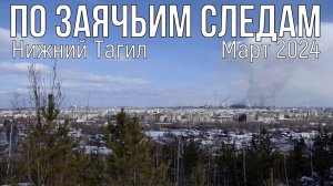 По заячьим следам. Отвал горы Высокая. Нижний Тагил 2024 март.