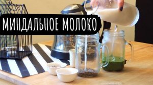 Как готовить пудинг с семенами чиа и миндальным молоком