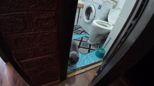 МЯУРИЦЦИО ОТНЁС В ГОСТИ К МАМЕ НА ВРЕМЯ ПОЕЗДКИ 15. 09. 2024