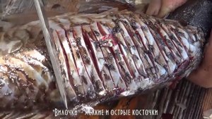 Как приготовить карася, без мелких костей, как посечь карася, показал дядя Толя