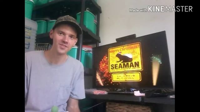 DREAMCAST NTSC-J GAMES: Christmas Seaman: Omoi o Tsutaeru Mou Hitotsu no Houhou смотреть онлайн