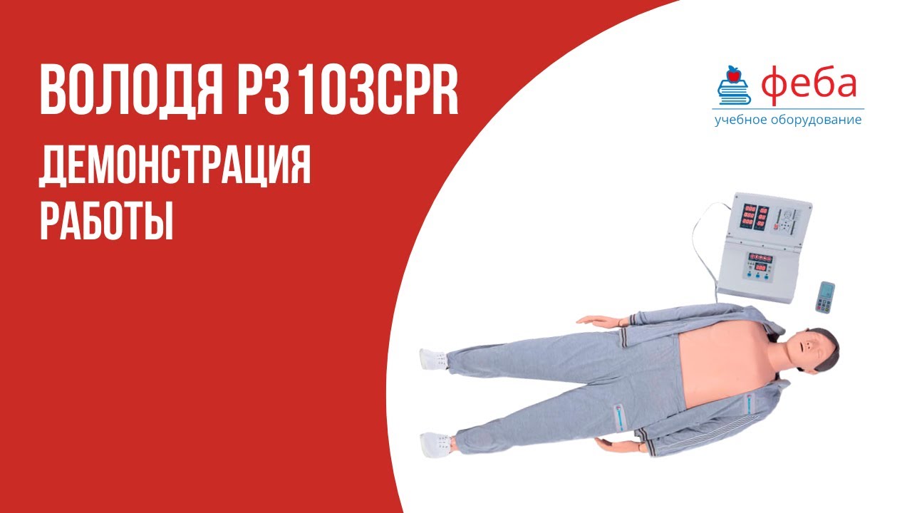 ВОЛОДЯ P3103CPR. Обзор тренажер СЛР