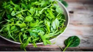 Рукола – это не просто Пряная Травка, а настоящий Кладезь Здоровья!