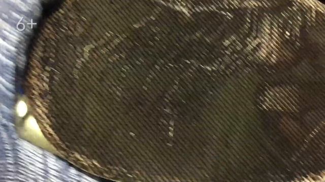 VW MULTIVAN 2.0 140 л.с. Удаление сажевого фильтра(DPF),отключение EGR. #multivan #caravelle смотреть онлайн