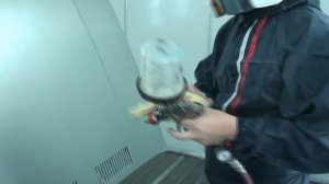 Полихим Воронеж. Мокрый грунт, база, лаки. Часть7