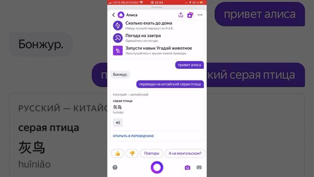 Серая птица на китайском