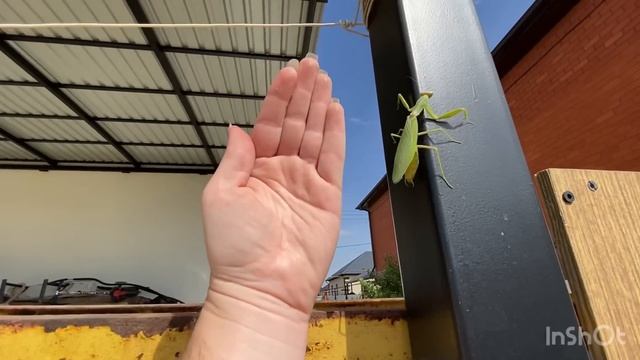 Купили дом на юге?5️⃣5️⃣Сильный ветер? Поиск плитки??♀️ #переезднаюг #домнаюге #крымск #юг