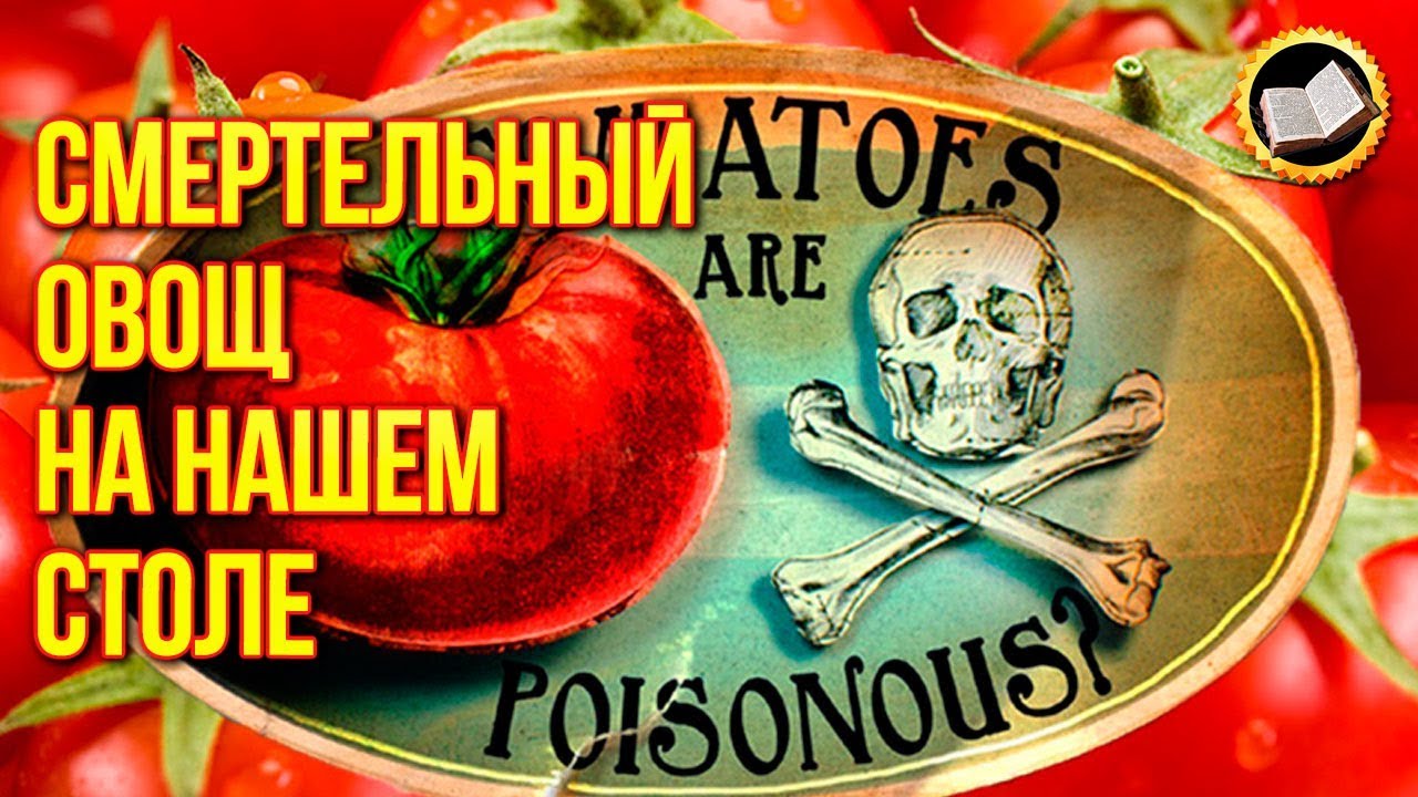 Смертельный овощ на нашем столе. Ядовитый томат. Вред помидора. Здоровье от природы