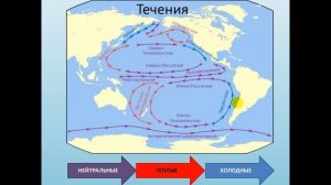 Тихий океан. География 7 класс
