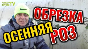 Осенняя обрезка роз: "Тайные методы и трюки для великолепного цветения в следующем году"