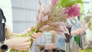Meet Ptilotus Matilda - Benary's new Cut Flower