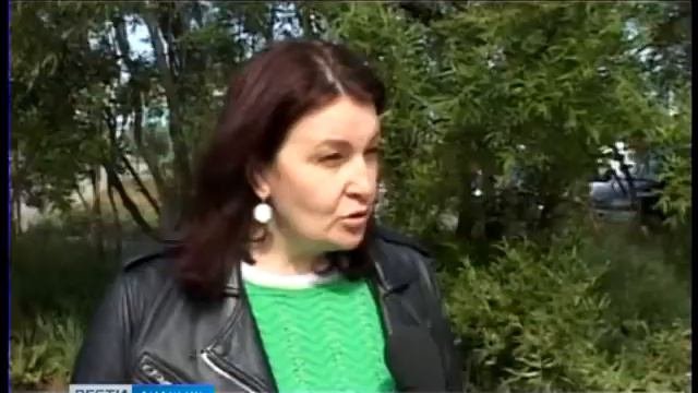 Активисты ОНФ провели экомониторинг на месте работы компании «Берингпромуголь»