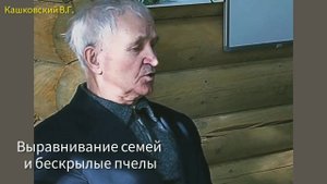 Пчелы без крыльев. Когда и зачем выравнивать пчелосемьи по силе.